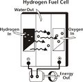 Fuelcell.jpg